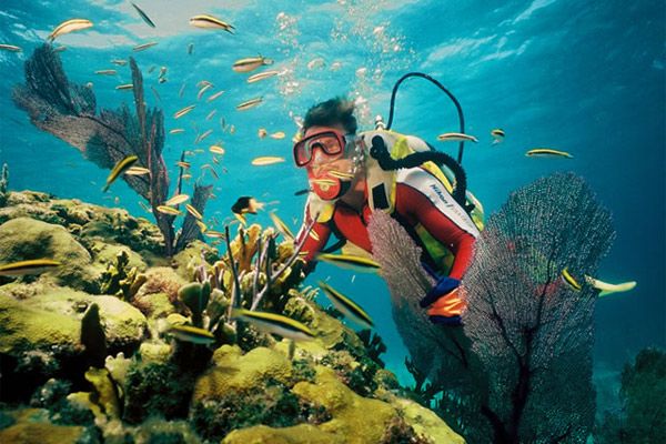 Scuba Diving + 5 Watersports Combo at Paradise Beach